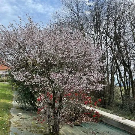 Holiday home Maison Zen Familiale Avec Clim, Jardin Et Terrasse